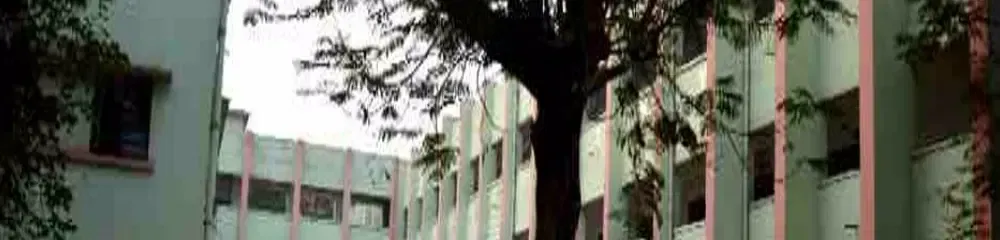 gallery 6