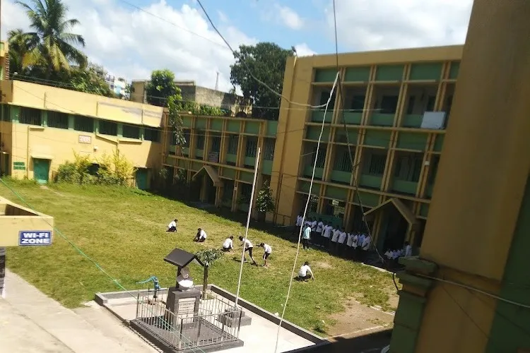 gallery 11