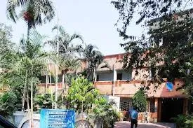 Gallery 4