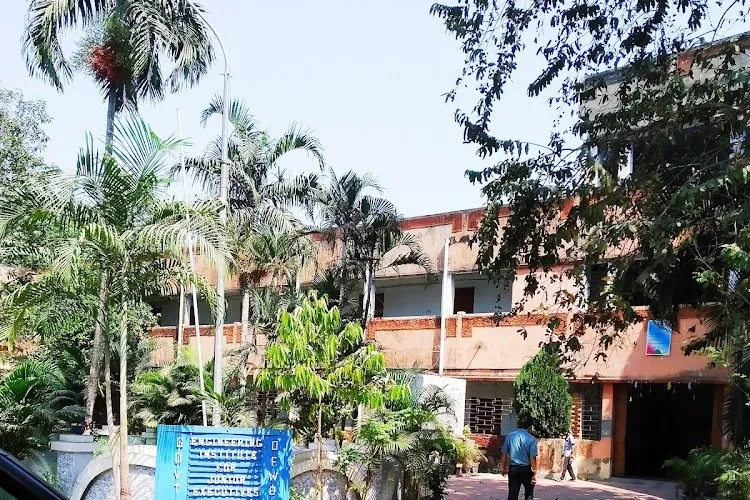gallery 6