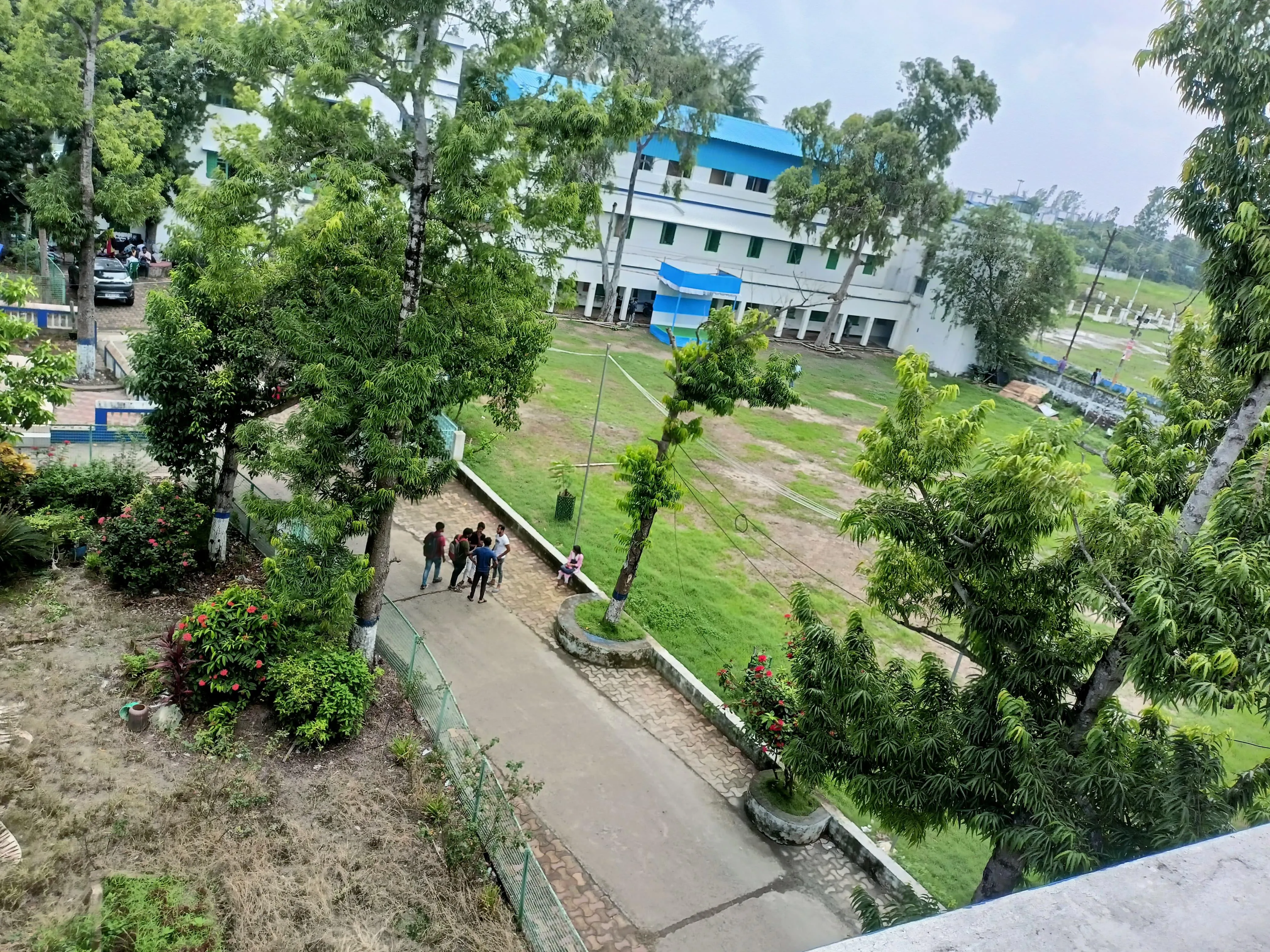 gallery 12