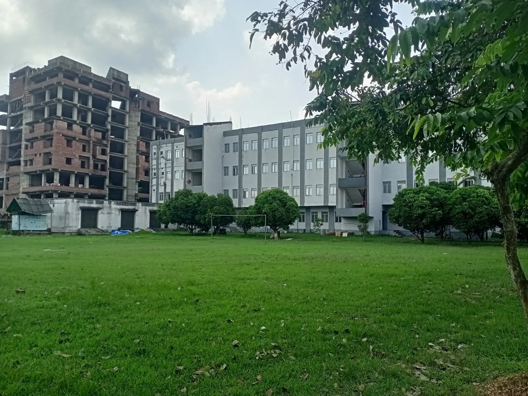 gallery 8