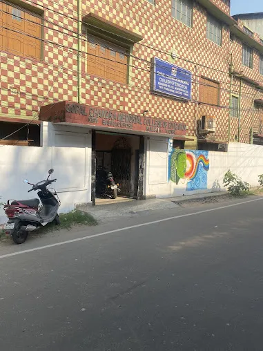 gallery 12