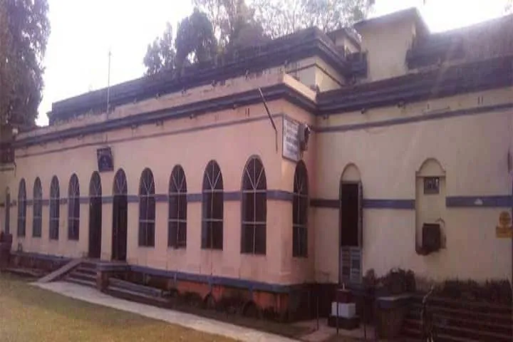 gallery 7