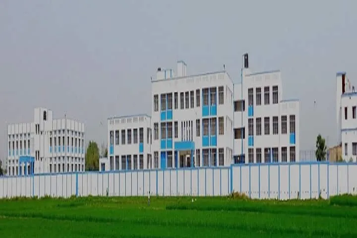 gallery 6