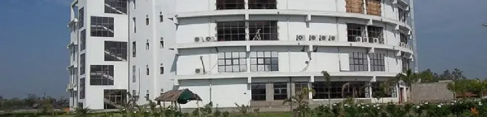 gallery 8