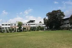 Gallery 4