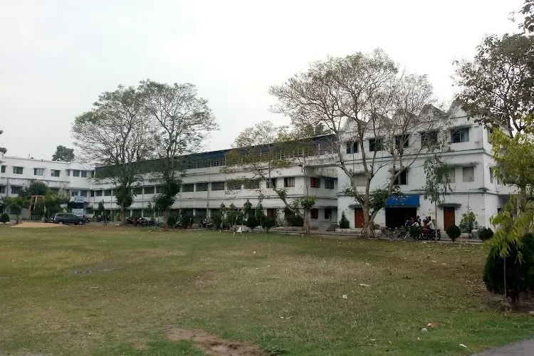 gallery 6