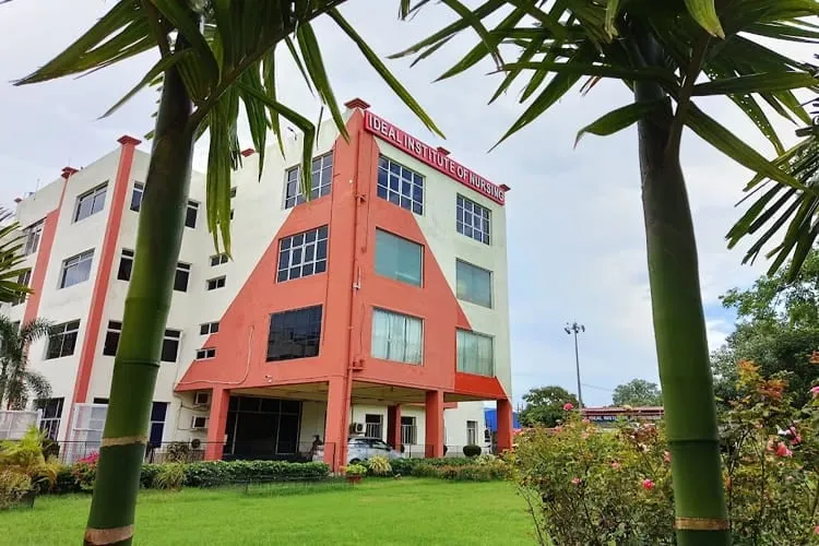 Gallery 5