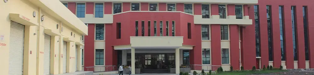 Gallery 4