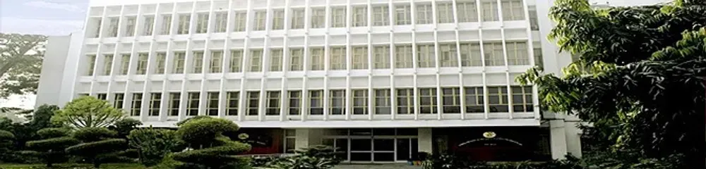 gallery 11