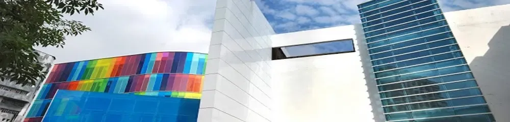 gallery 8