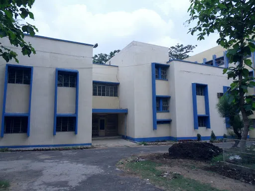 Gallery 4