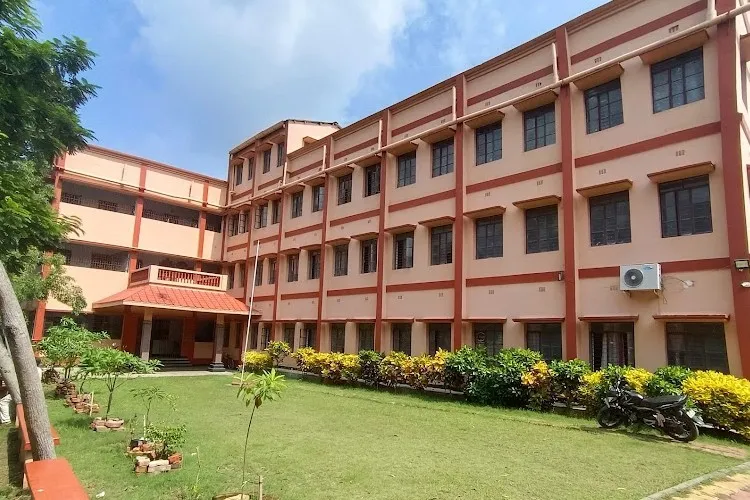 gallery 7