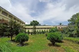 img-3