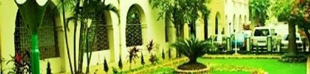 gallery 7