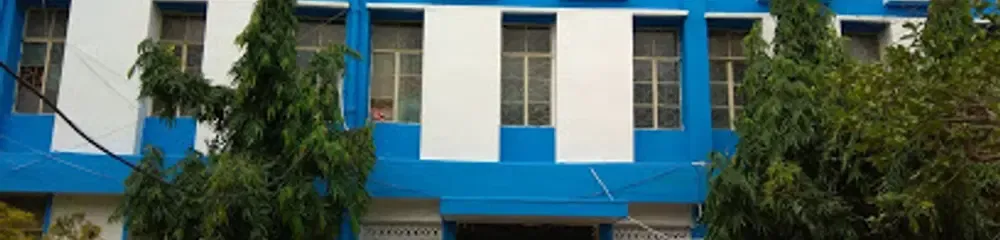 Gallery 5