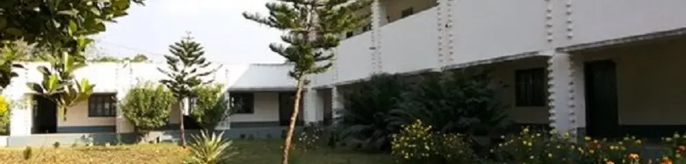 Gallery 5