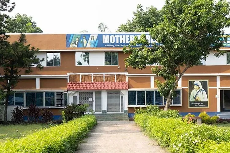 gallery 6