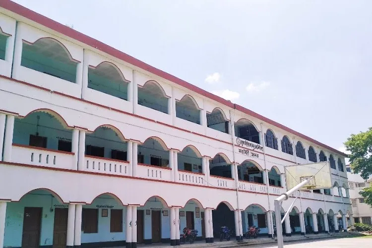 gallery 11
