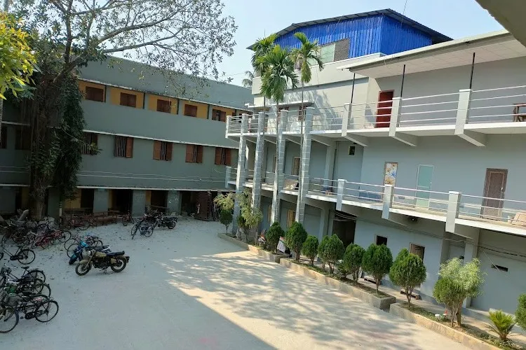 gallery 5