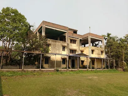 Gallery 5