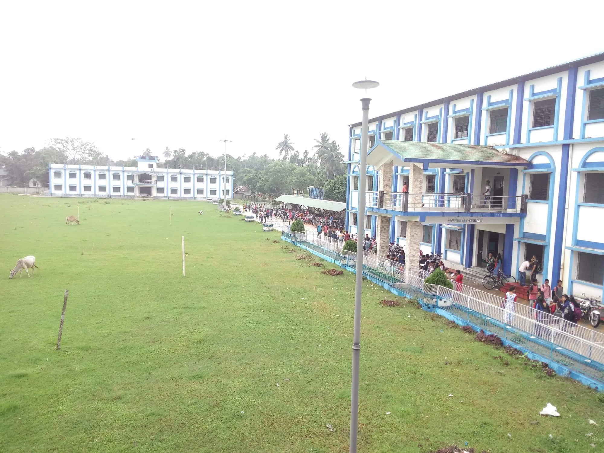 gallery 7