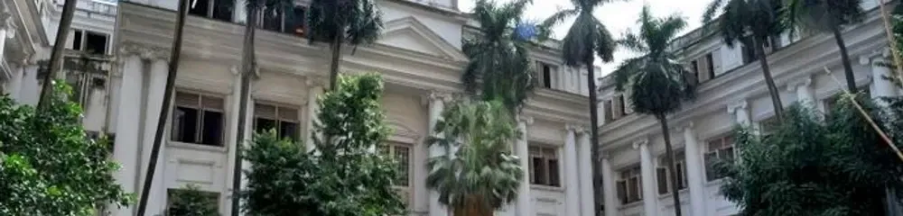 gallery 6