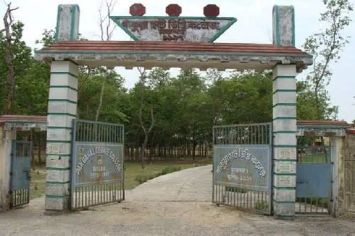 gallery 10