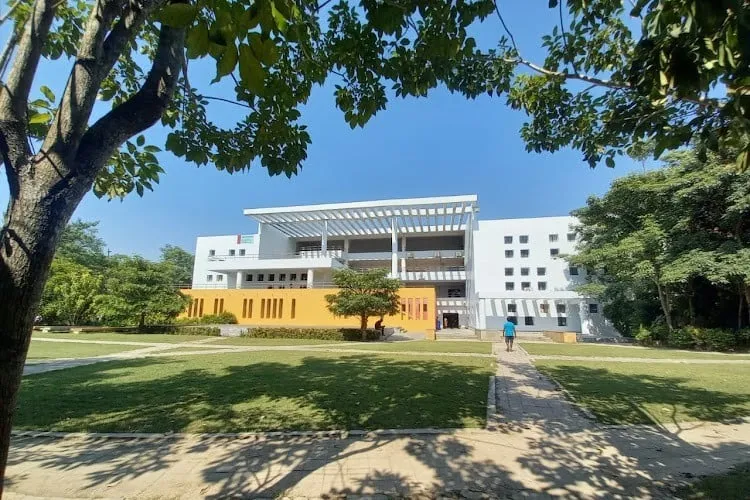 Gallery 5