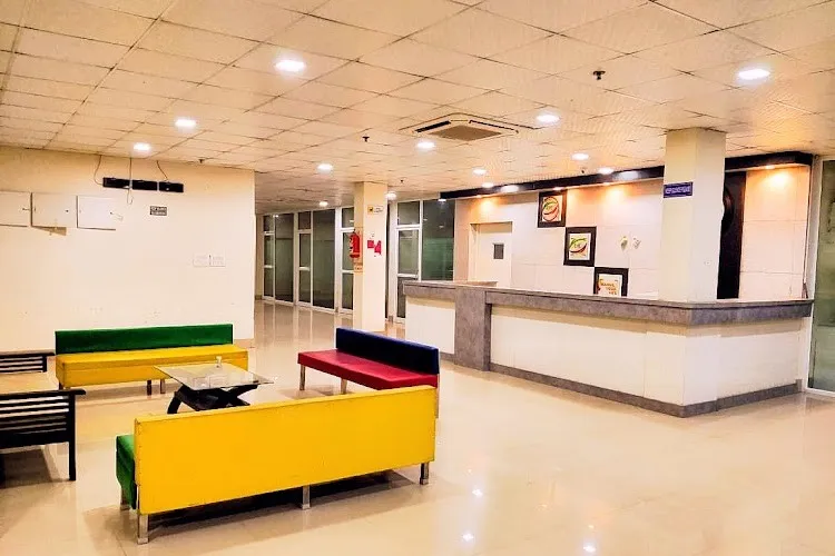 gallery 12