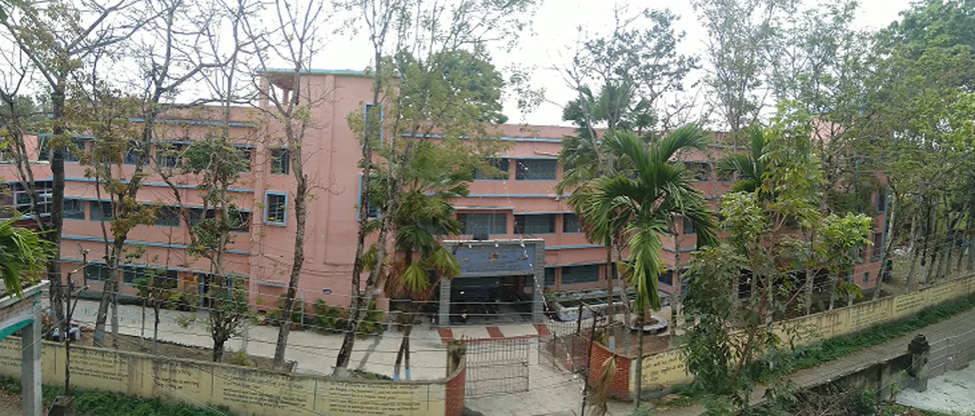 gallery 7