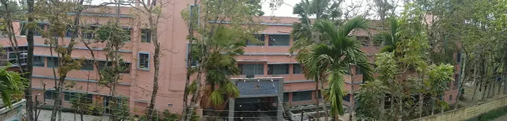 gallery 11