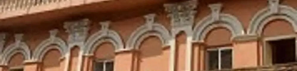 gallery 7