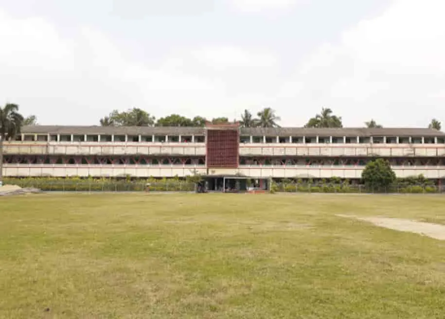 gallery 6