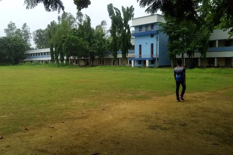 Gallery 5