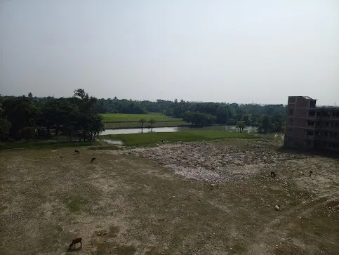 gallery 7
