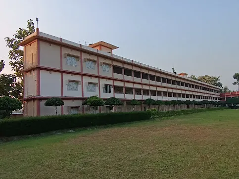 gallery 8