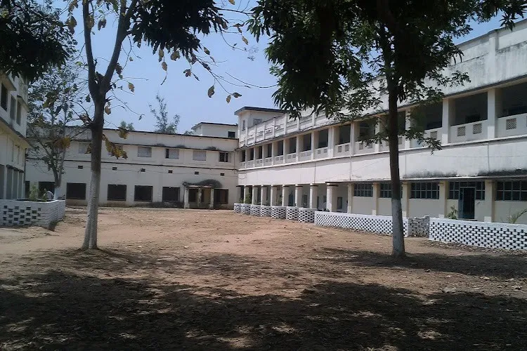 gallery 6
