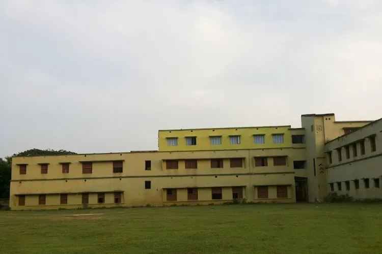 Gallery 5