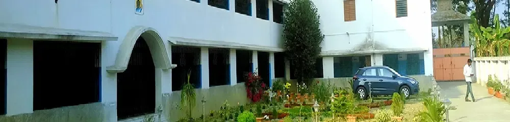 gallery 8