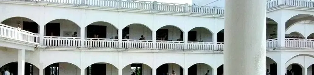Gallery 4
