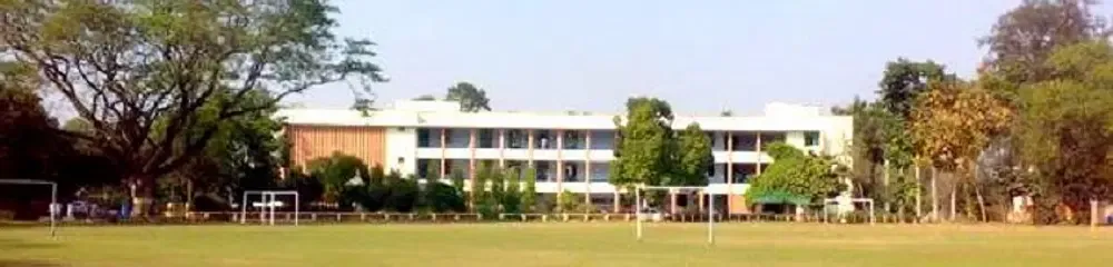Gallery 5