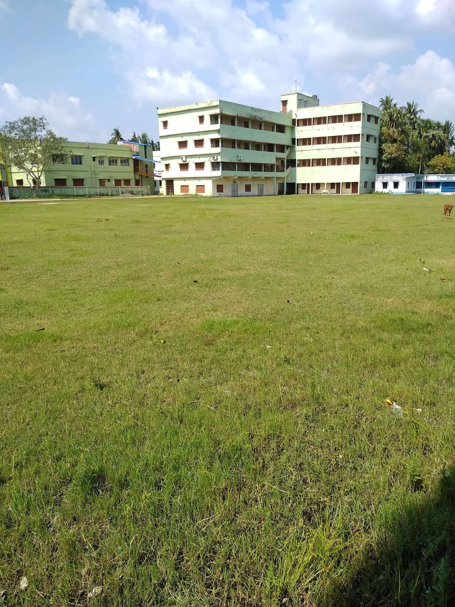 Gallery 4