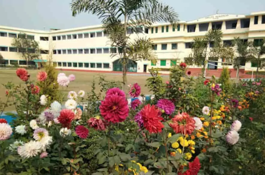 gallery 7