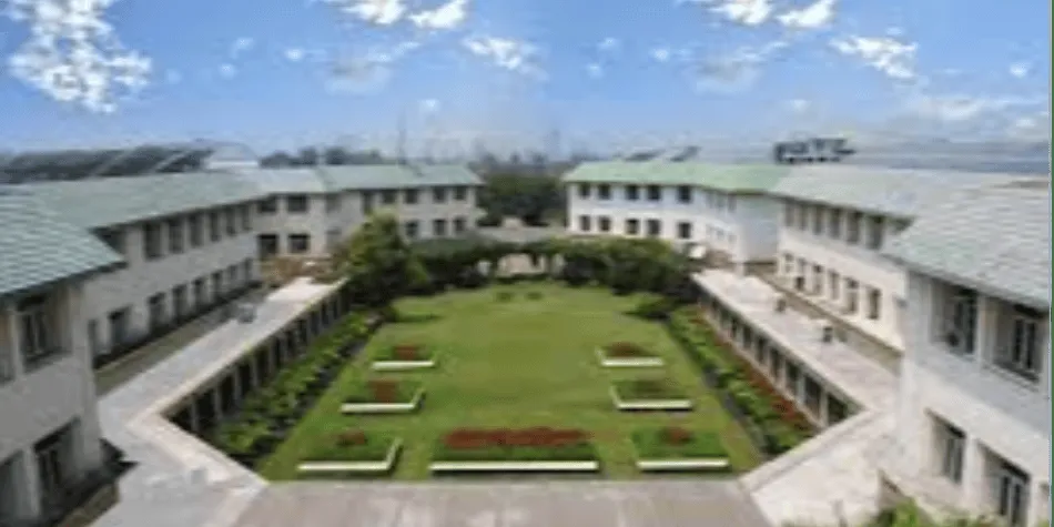gallery 7