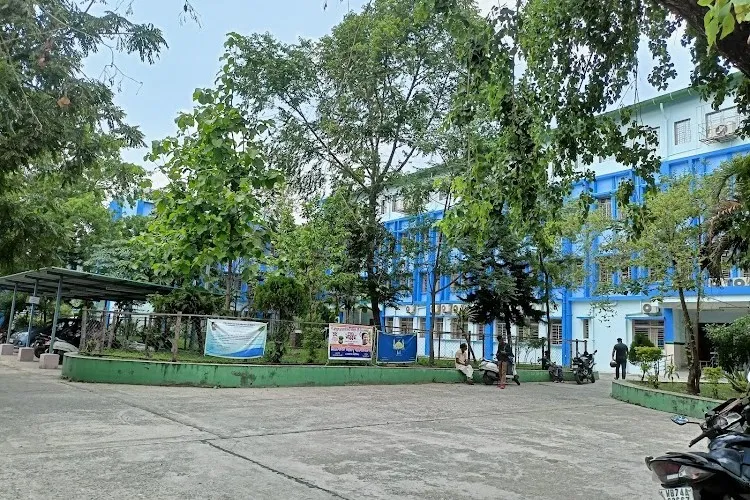 gallery 5