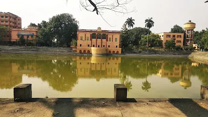 Gallery 5