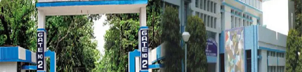 gallery 7