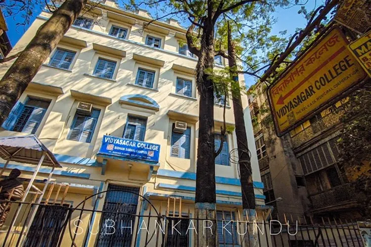 gallery 6